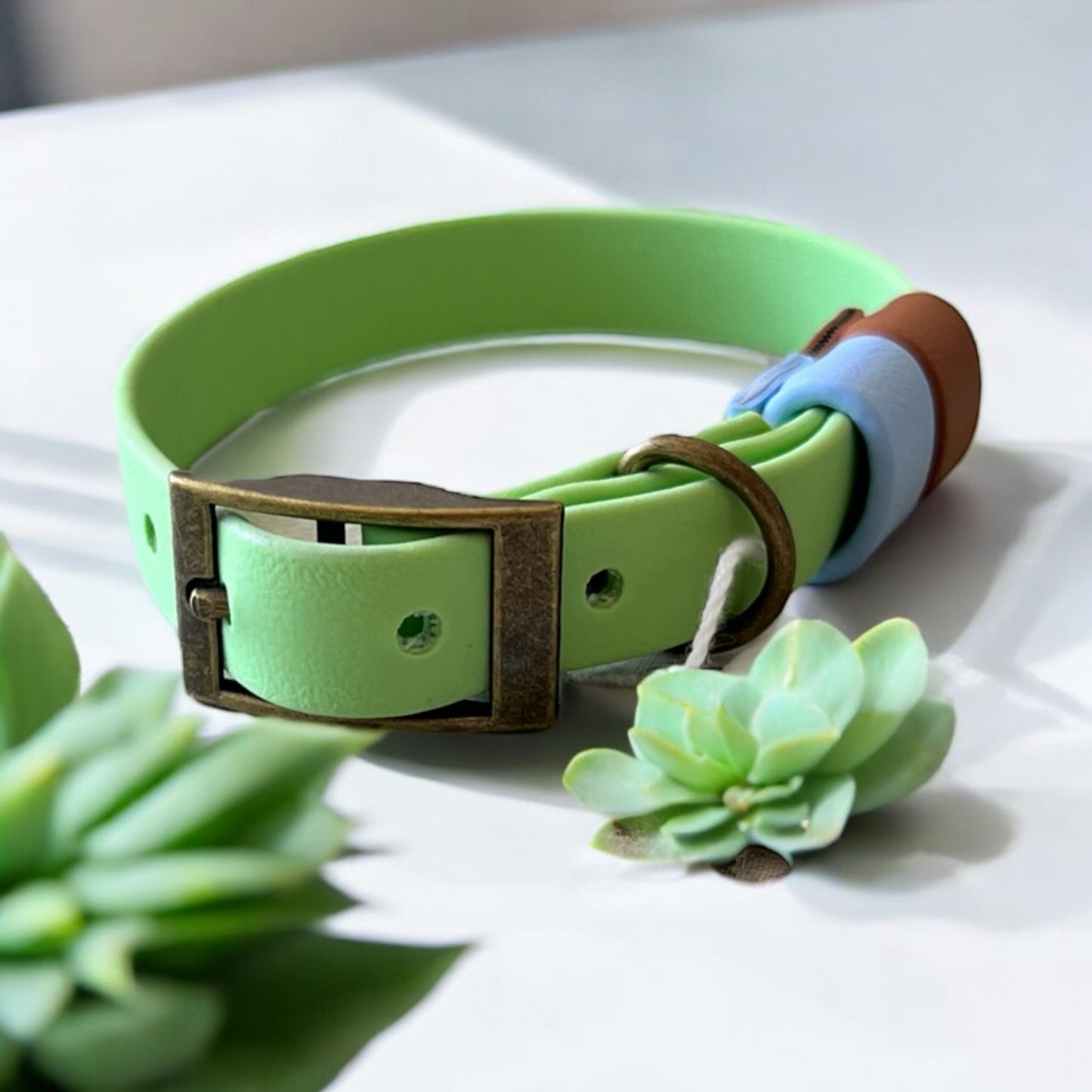 SMALL Biothane®️ collar in PASTEL GREEN