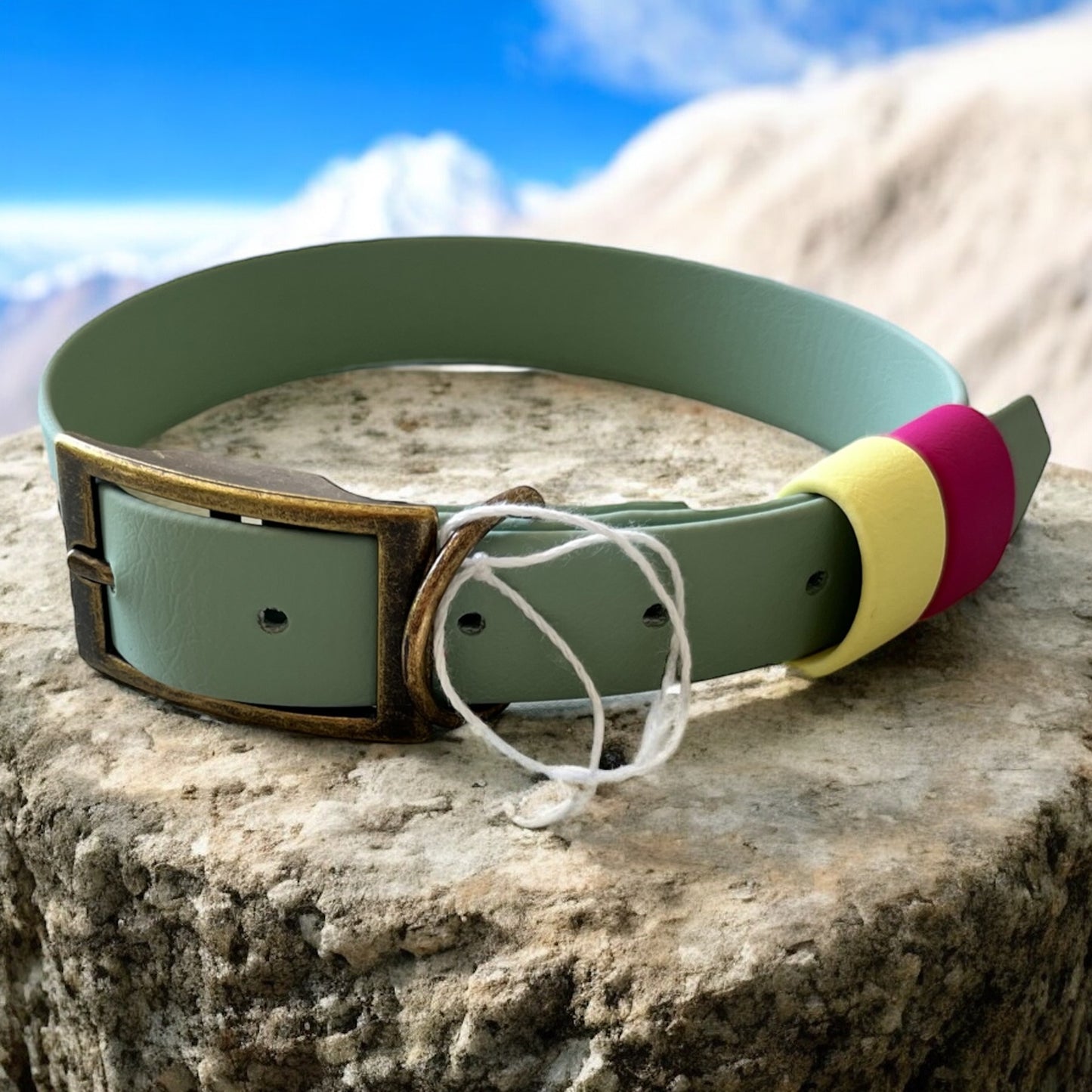 LARGE Biothane®️ collar in SAGE