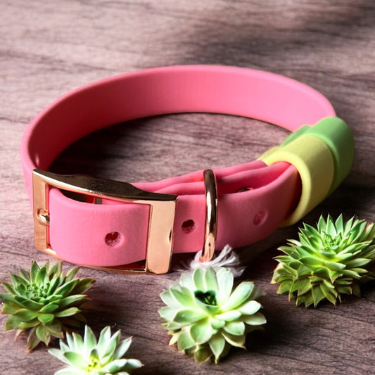 SMALL Biothane®️ collar in PASTEL PINK