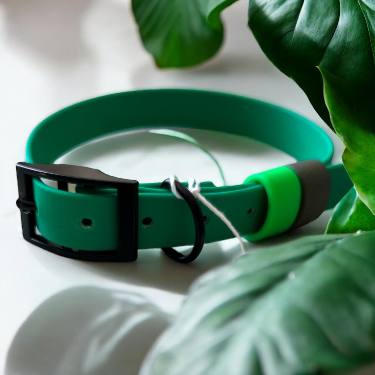 MEDIUM Biothane®️ collar in EMERALD GREEN