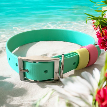 MEDIUM Biothane®️ collar in CARRIBEAN