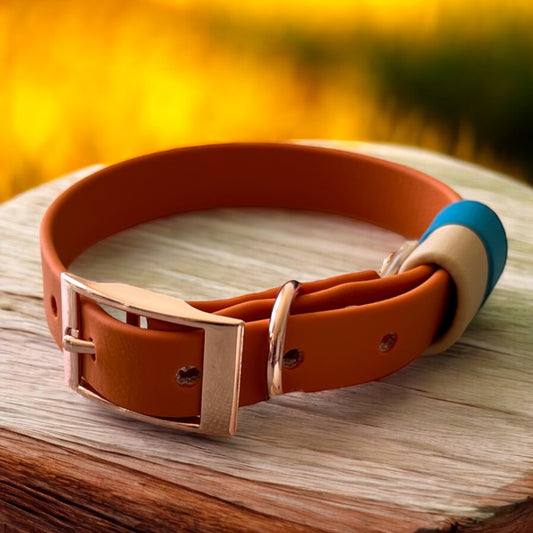 SMALL Biothane®️ collar in BURNT ORANGE