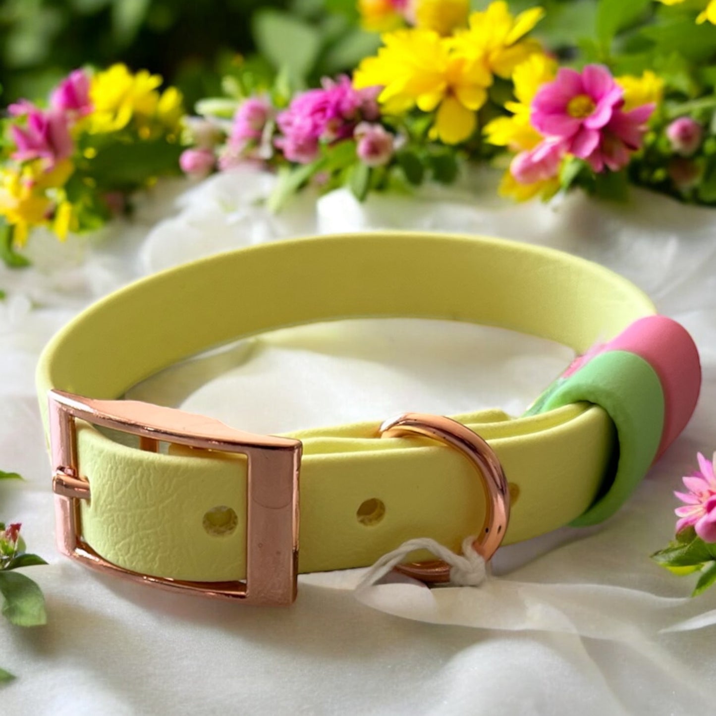 SMALL Biothane®️ collar in PASTEL YELLOW