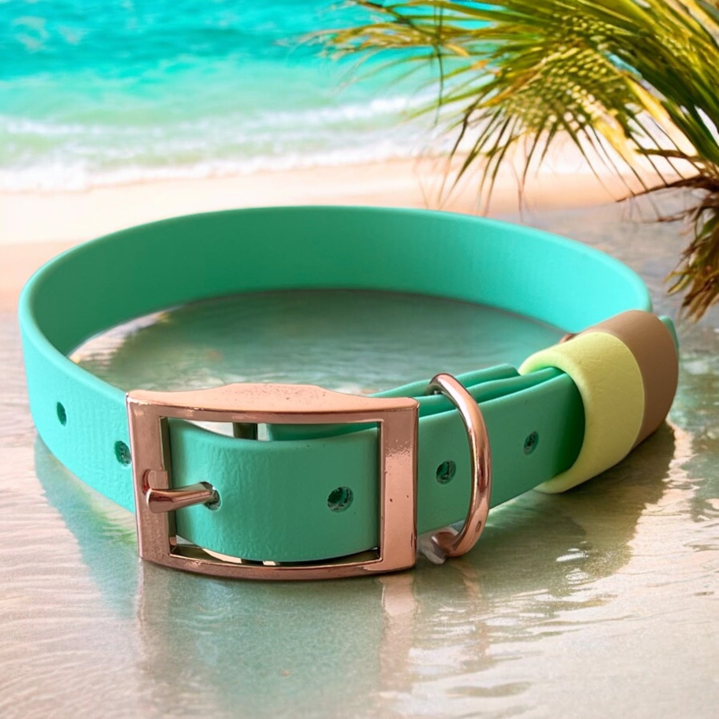 MEDIUM Biothane®️ collar in CARRIBEAN