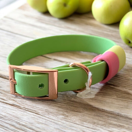 SMALL Biothane®️ collar in PASTEL GREEN