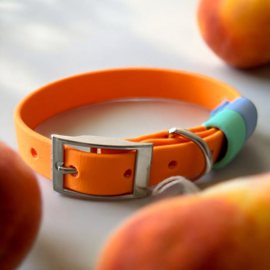 SMALL Biothane®️ collar in PEACH