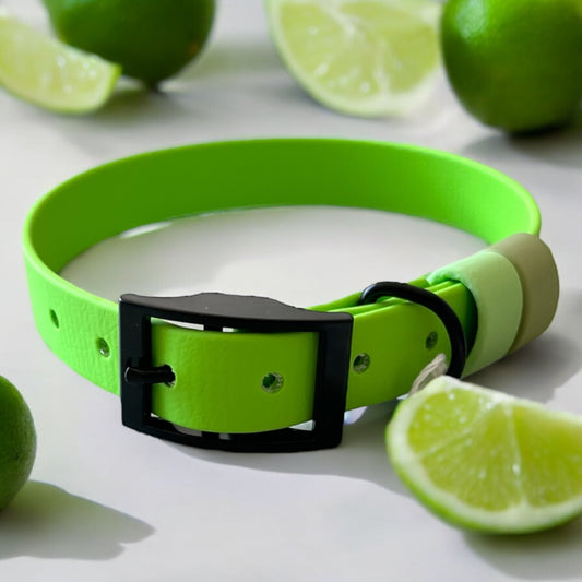 MEDIUM Biothane®️ collar in APPLE GREEN