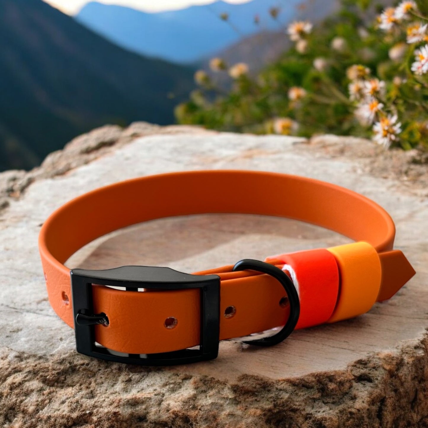 MEDIUM Biothane®️ collar in BURNT ORANGE