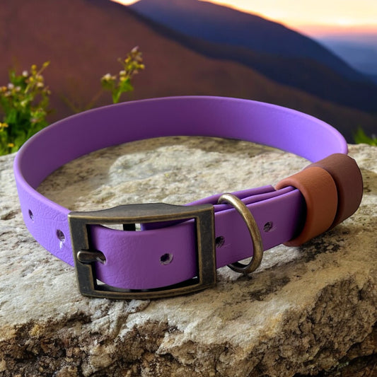 MEDIUM Biothane®️ collar in AMETHYST