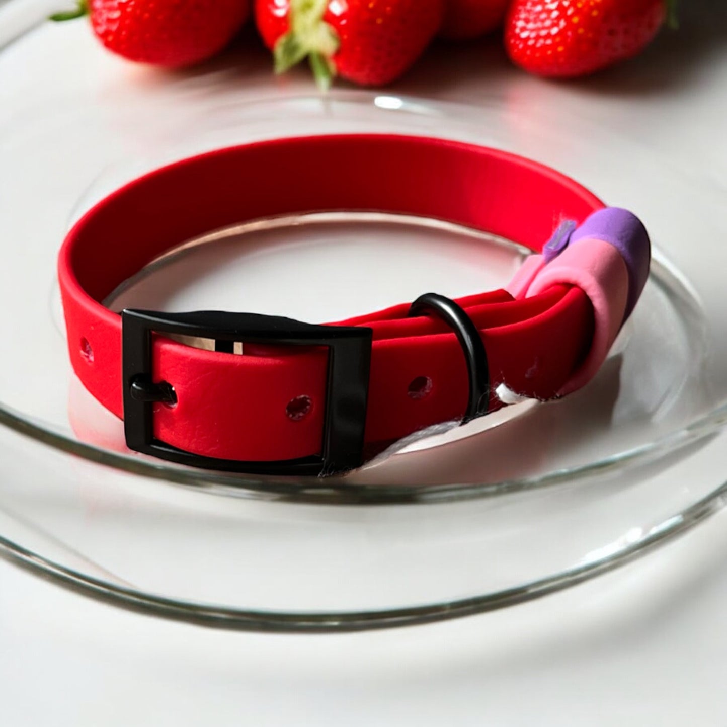 SMALL Biothane®️ collar in RED