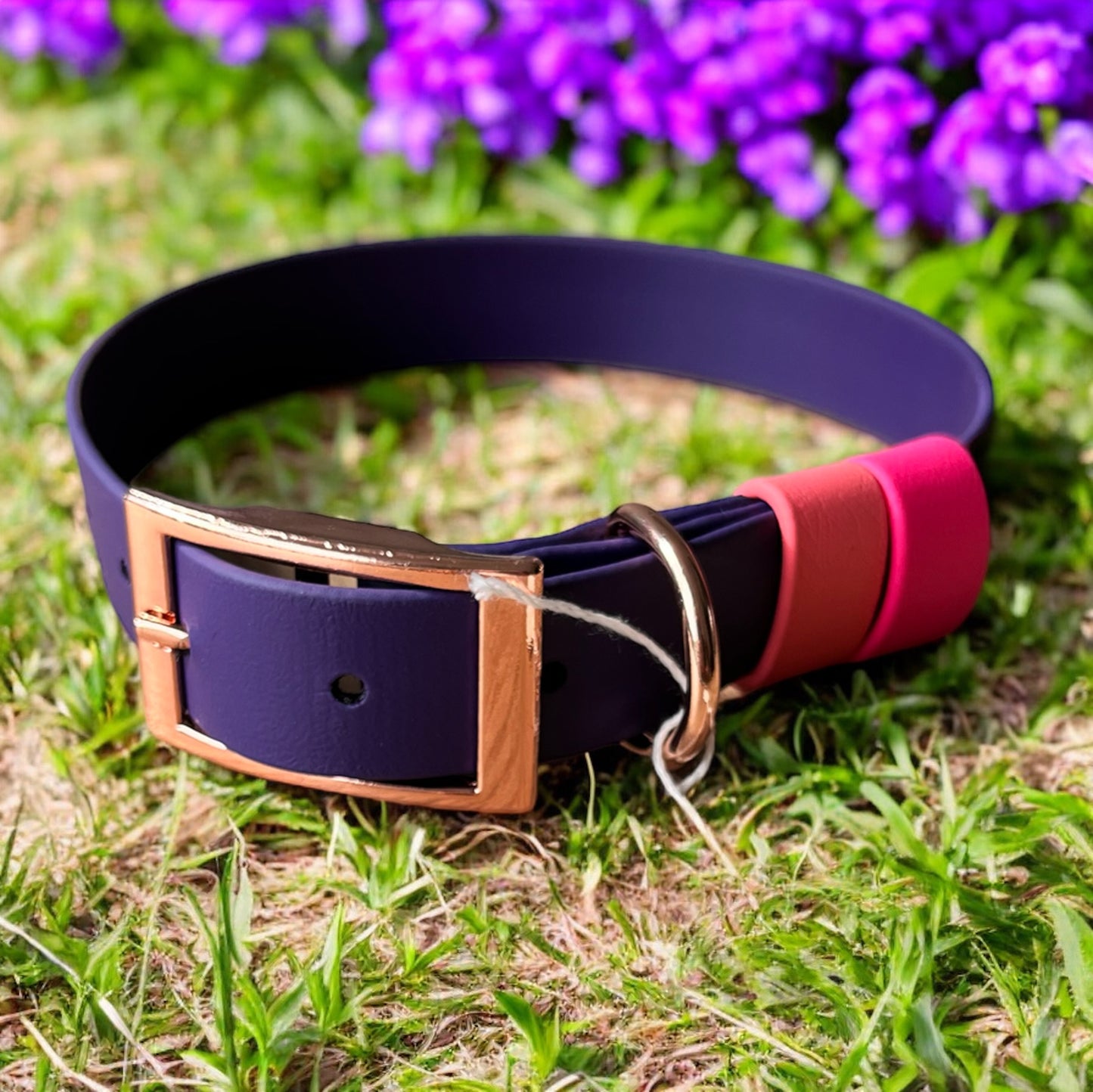 LARGE Biothane®️ collar in VIOLET