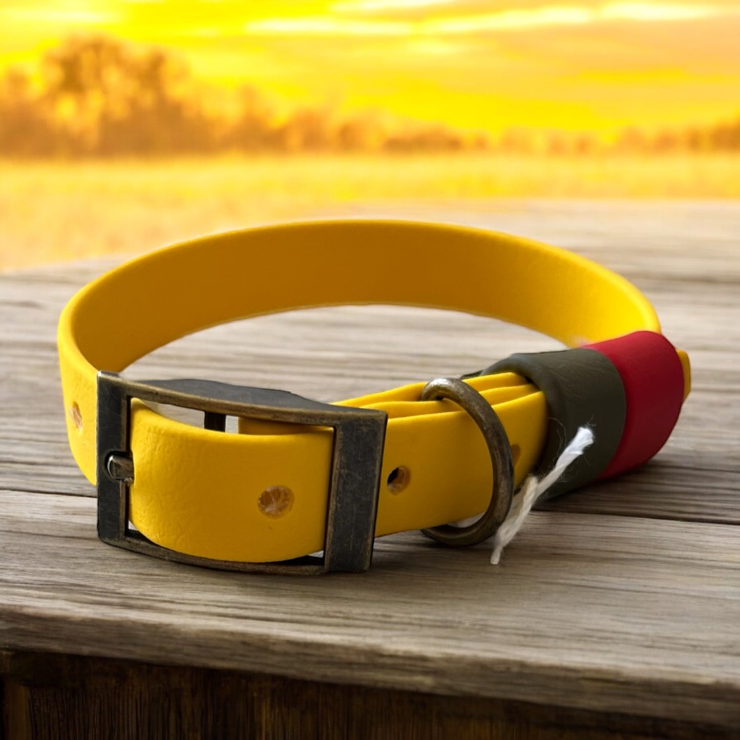 SMALL Biothane®️ collar in YELLOW