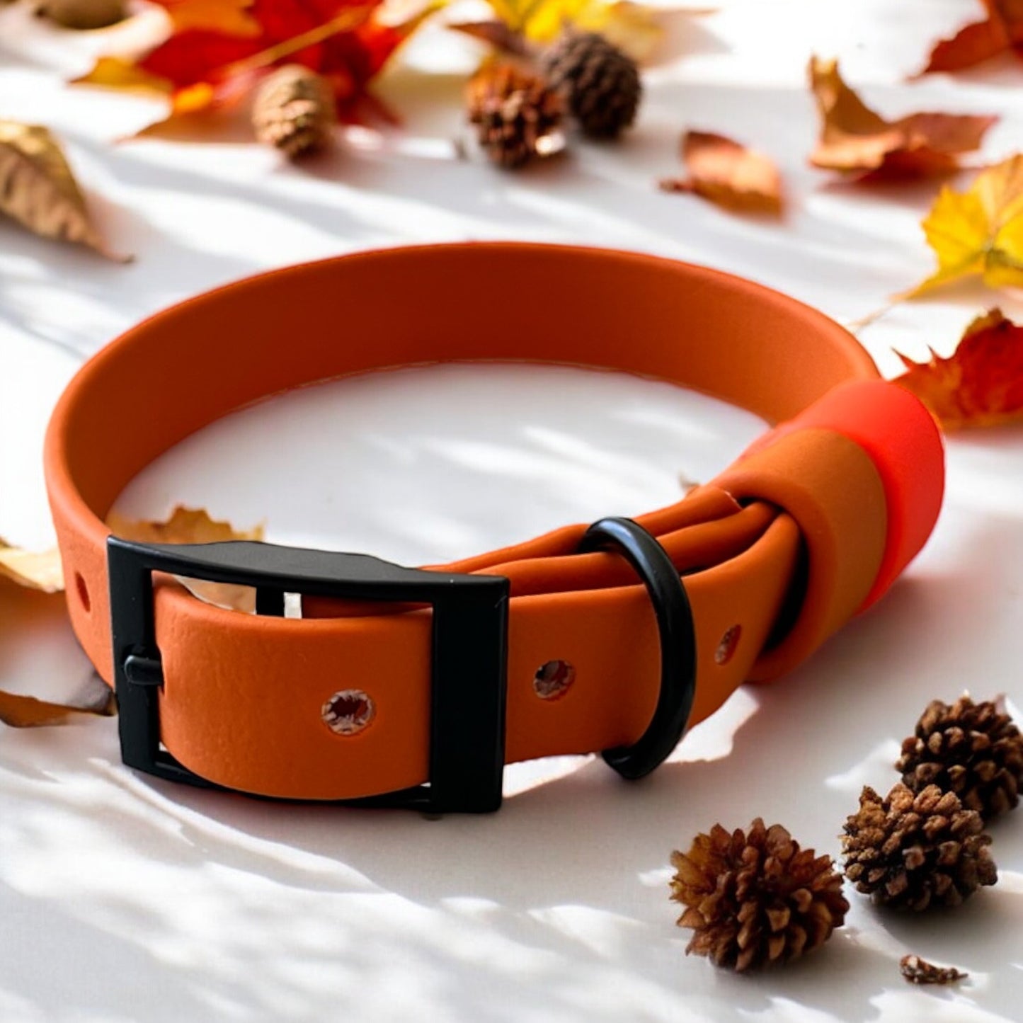 SMALL Biothane®️ collar in BURNT ORANGE