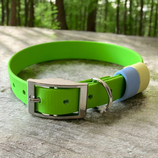 MEDIUM Biothane®️ collar in APPLE GREEN