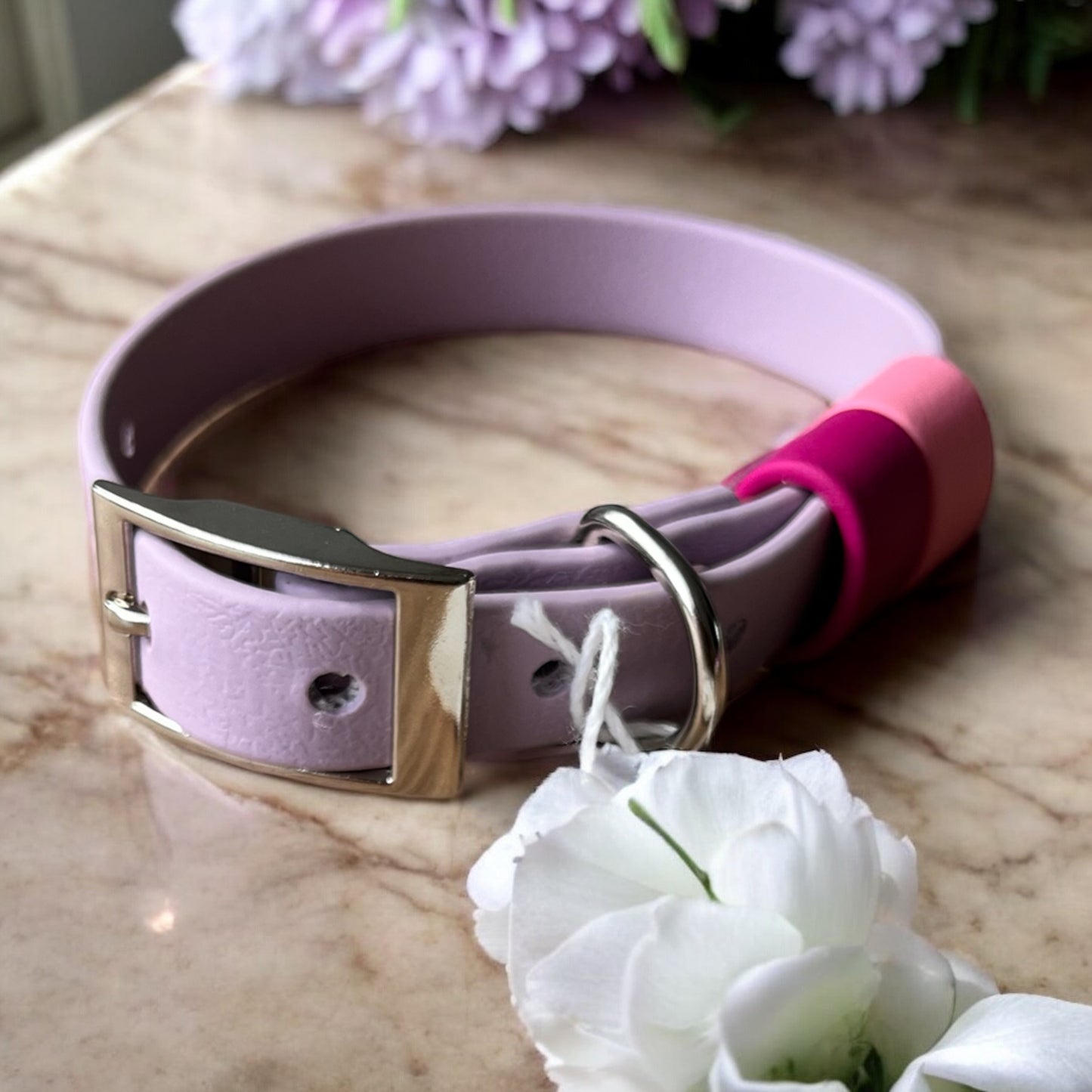 SMALL Biothane®️ collar in PASTEL PURPLE