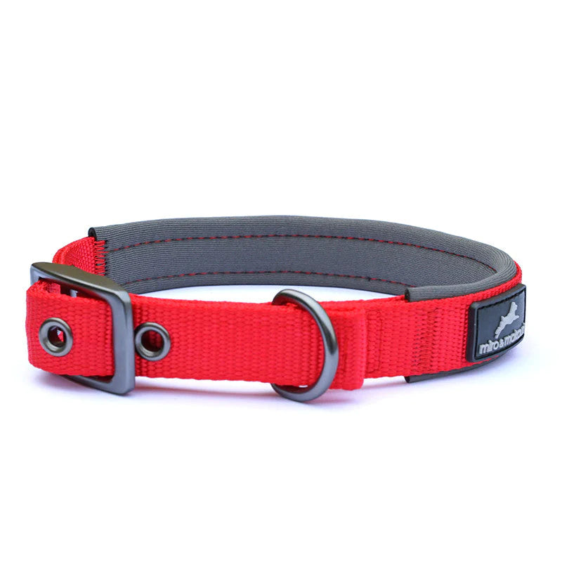 Miro and best sale makauri dog harness