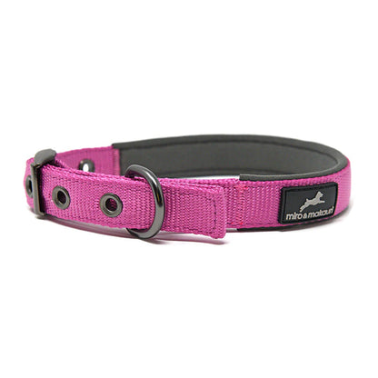 Miro & Makauri Assorted Padded Nylon Buckle Collar