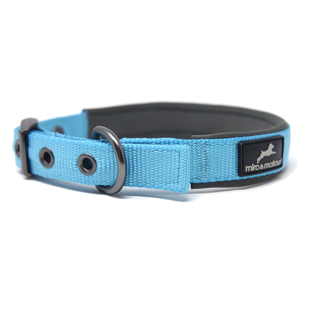 Miro & Makauri Assorted Padded Nylon Buckle Collar