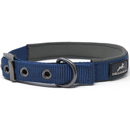 Miro & Makauri Assorted Padded Nylon Buckle Collar