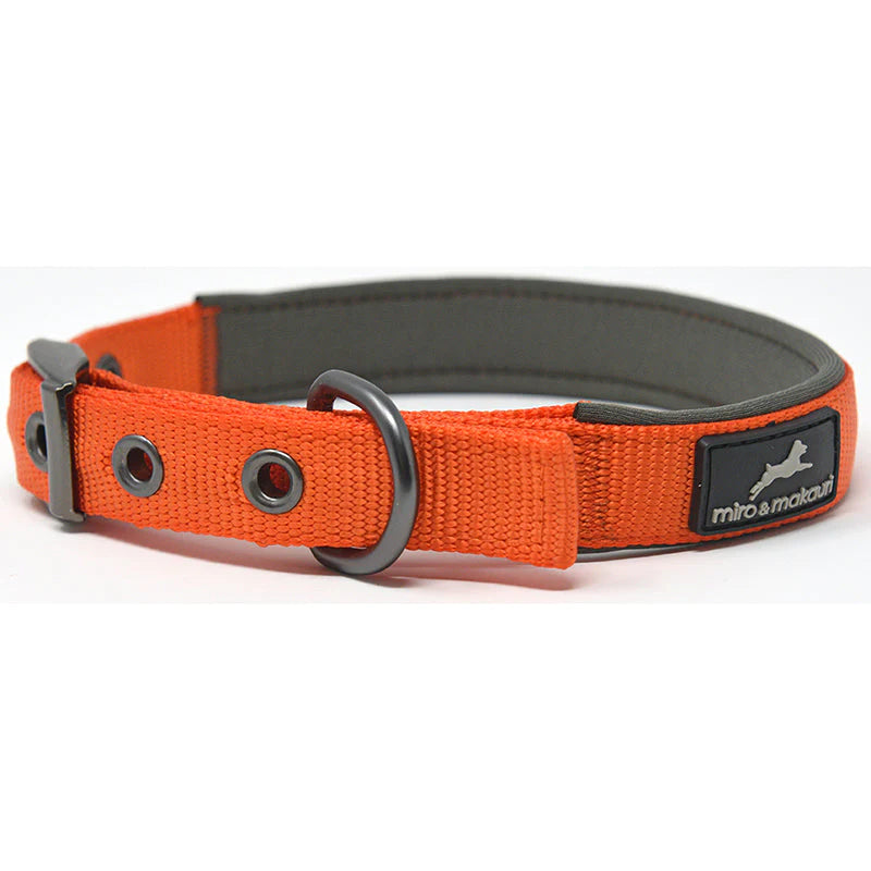 Miro & Makauri Assorted Padded Nylon Buckle Collar