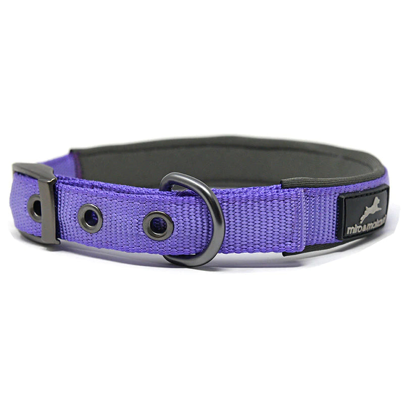 Miro & Makauri Assorted Padded Nylon Buckle Collar