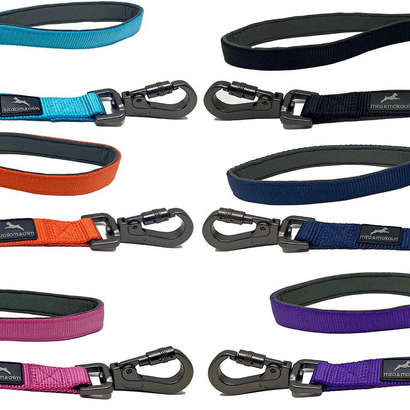 Miro & Makauri Assorted Carabiner Nylon Lead