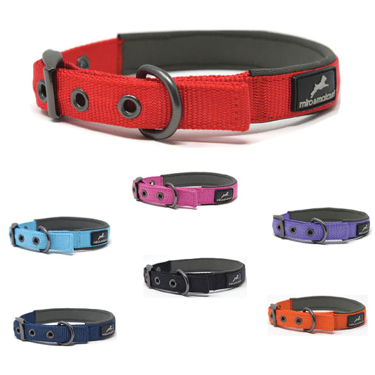 Miro & Makauri Assorted Padded Nylon Buckle Collar