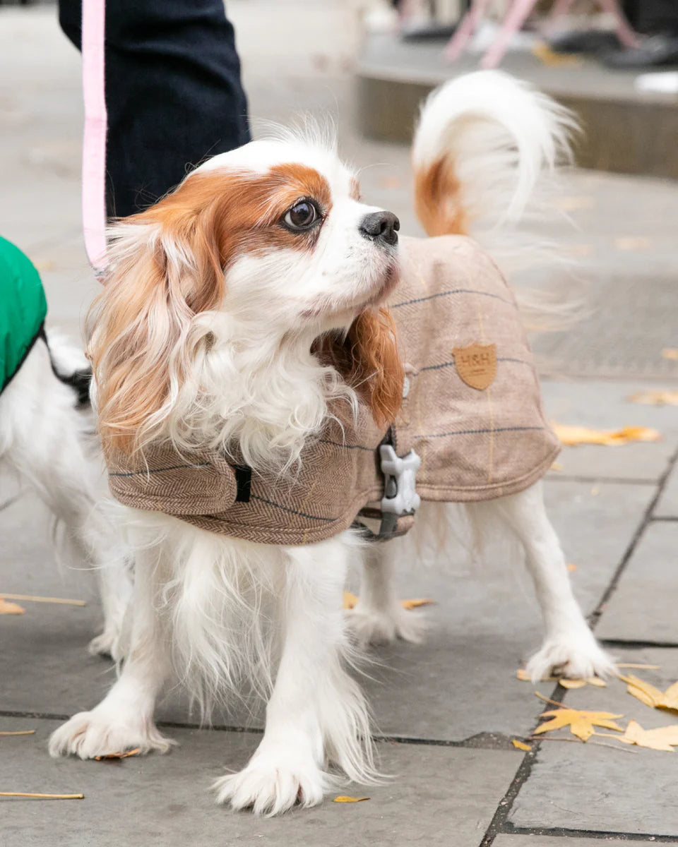 Hugo & Hudson Checked Tweed Fleece Dog Jacket