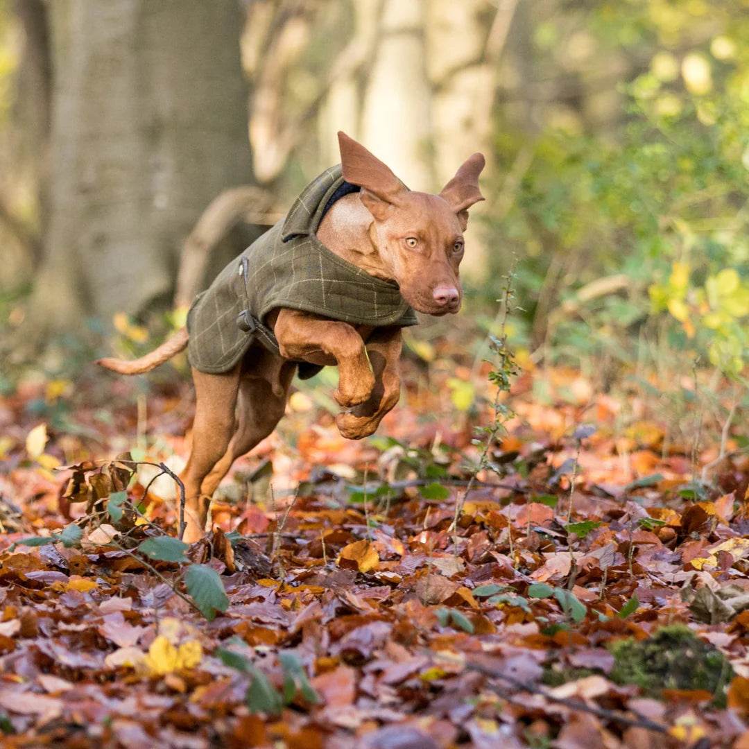 Hugo & Hudson Checked Tweed Fleece Dog Jacket